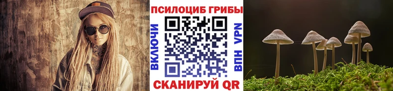 omg как войти  купить закладку  Перевоз  Галлюциногенные грибы Psilocybe 